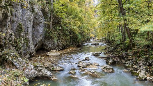 Fotó: Bereczki Barna